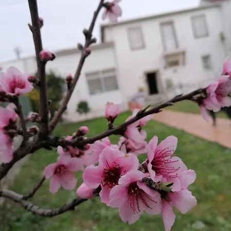 Torre De Santiago - 招待所 维拉·普拉亚·德·安科拉