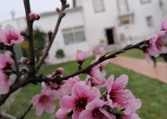 Torre De Santiago - Pensión Vila Praia de Âncora